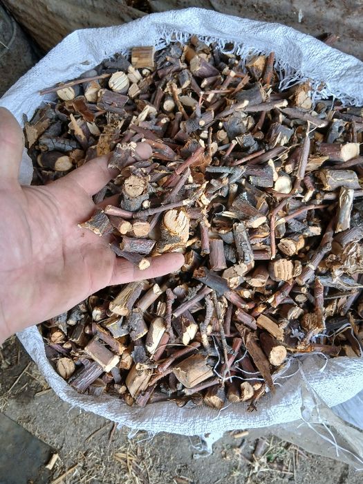 Щепа плодовых деревьев