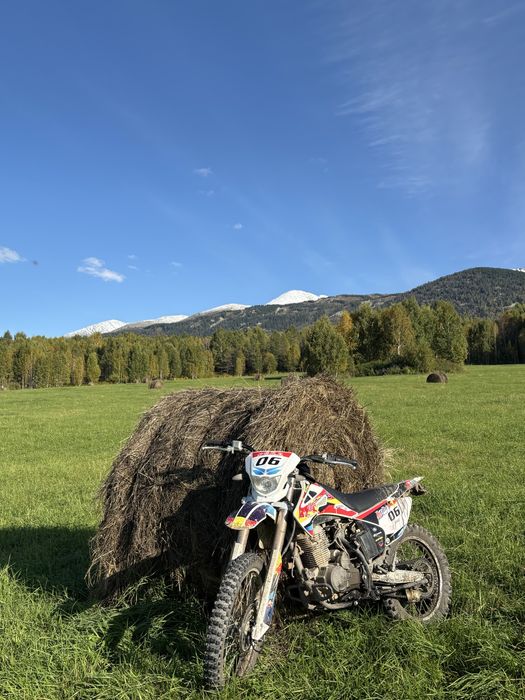 Эндуро ммз 06 250