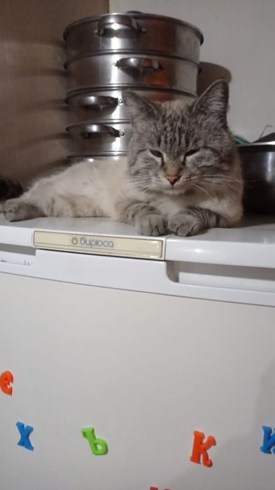 Осталась 1  девочка