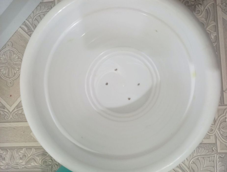 Опрыскиватель + горшок для цветов