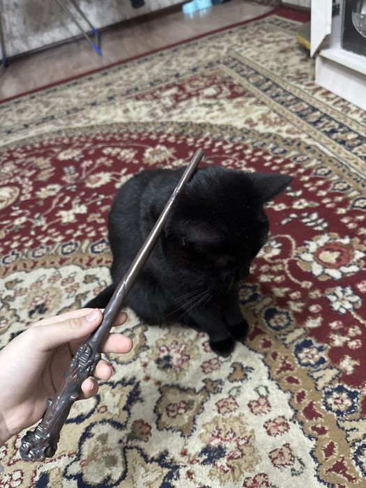 Продаю палочку гарри поттера