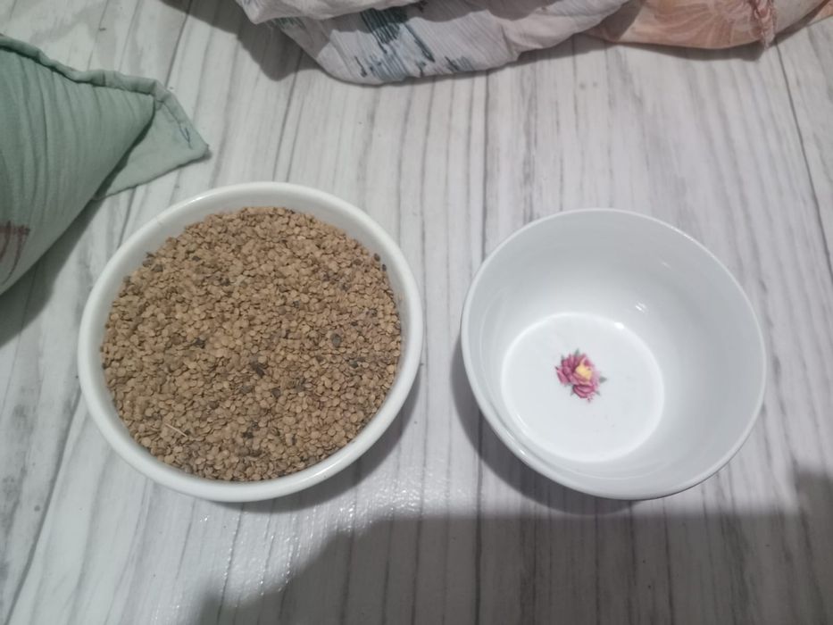 Балгарский баклажан урык тар бар