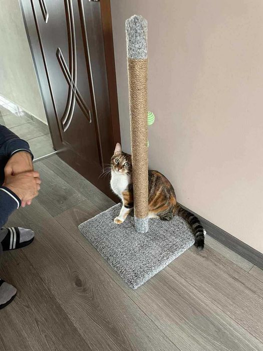 Драскалка за котка-НОВ МОДЕЛ.Високо стълбче за драскане 80см