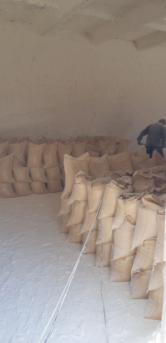 Gips Гипс Алибастер махсулотлари