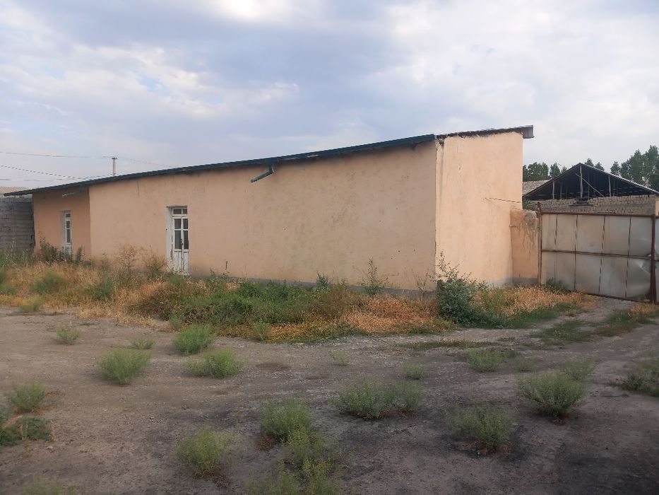 Korhonaga qarashli 10 sotiklik yer sotiladi