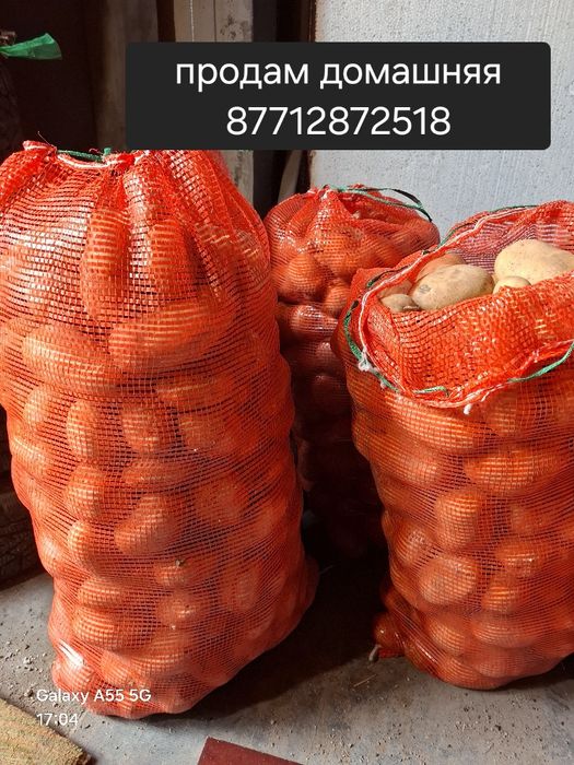 Продам ДОМАШНИЙ картофель