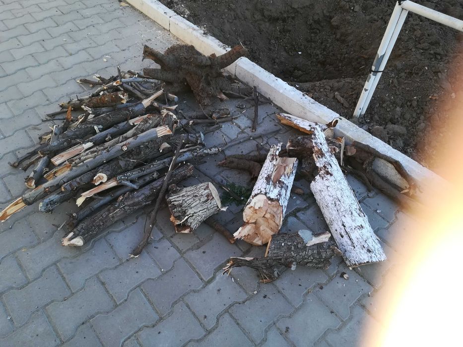 Дрова дерева груши