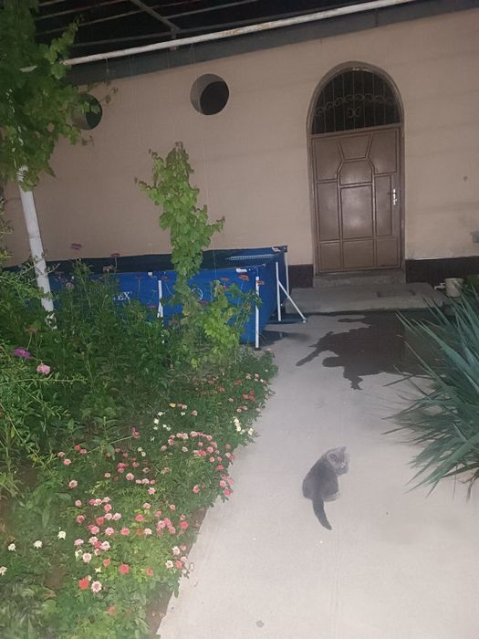 продается частный  дом в яшнабадском районе