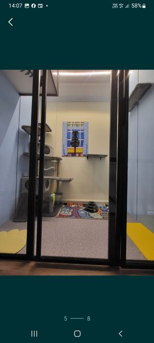 Гостиница для кошек.