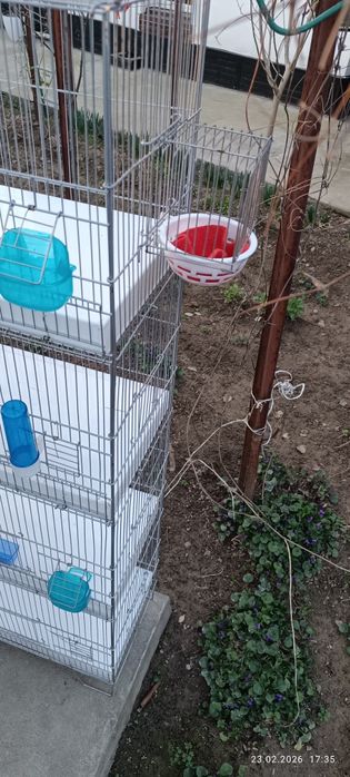 Клетка 4 отсека продаётся