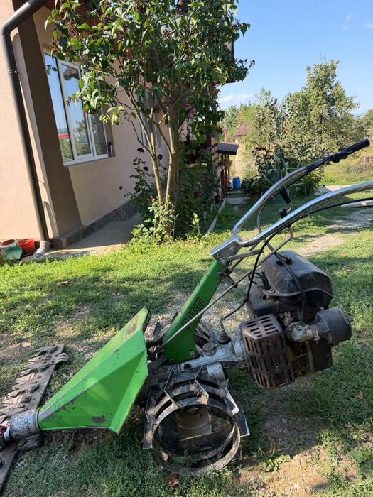 Cositoare casorzo