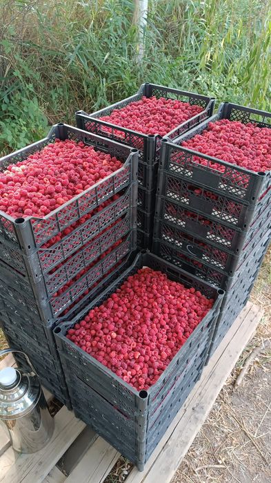 Продам Землю кха