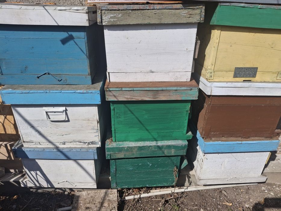 Vand cutii stupi de albine