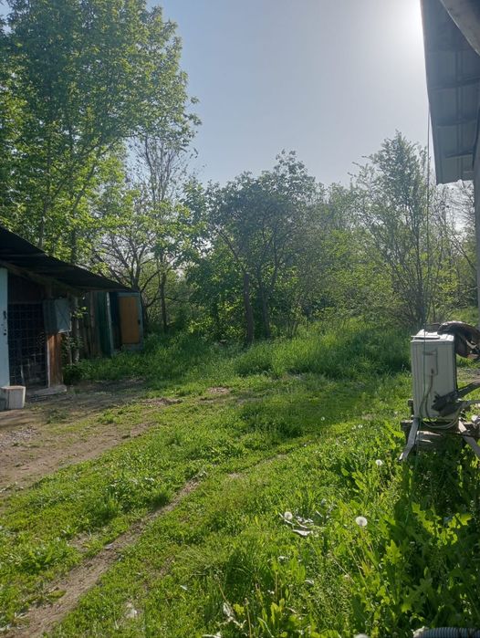 Продам 2 дома селекция