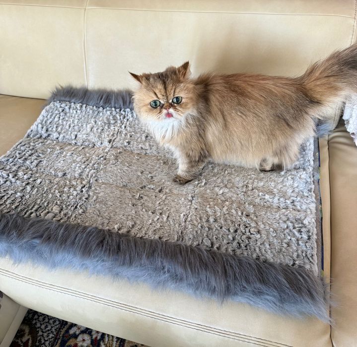 Легло-тунел 2в1 за котка