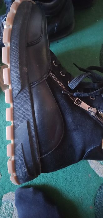 Красовка разные  зима лето