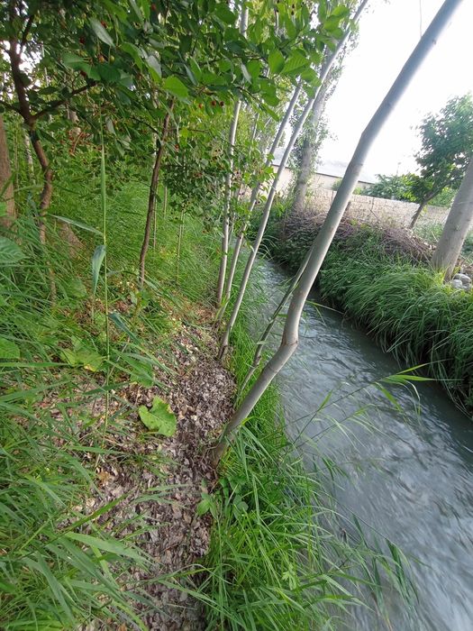 Срочно yer sotiladi  dachabop.