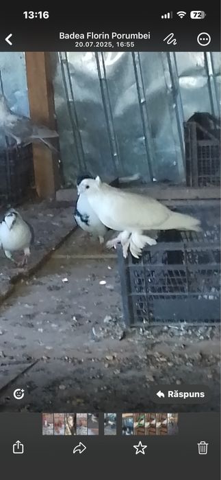 O pereche de rostovi si o pereche de jucatori de botosani