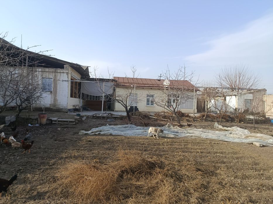 sodikzonberdimurodov