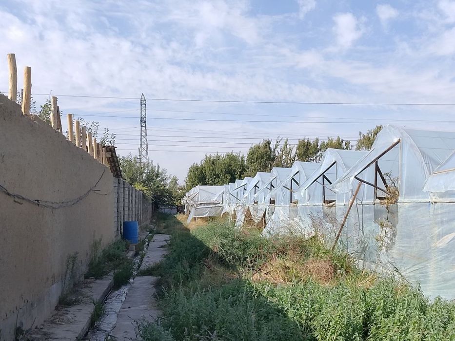 Назарбек Иттифокда 1 гектарли йер майдони сотилади