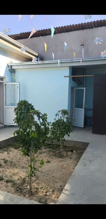 Срочно сдается дом 5 комнат,1 сотка. Солнечный.