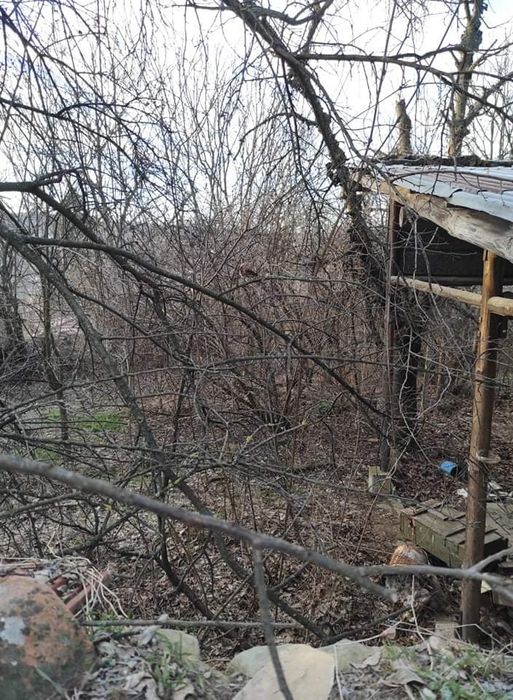 Косене кастрене чистене двор къща