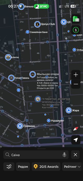 Пропала кошка сиамская