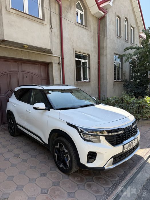 Kia seltos kraska toza