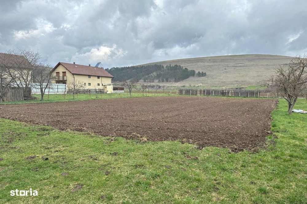 Teren 2577 mp + casă  | front ~32 m | ideal investiție | Gilău