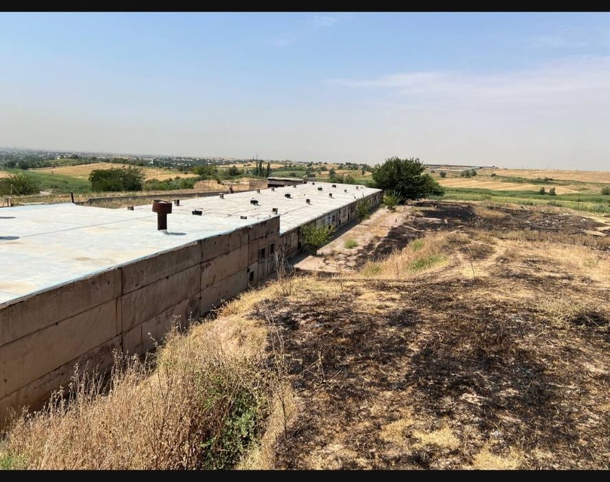 Продаю Ангар 1700 м2 на участке 1.5 Га в Кибрае