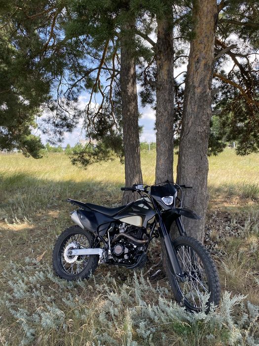 Продам Hammer 300