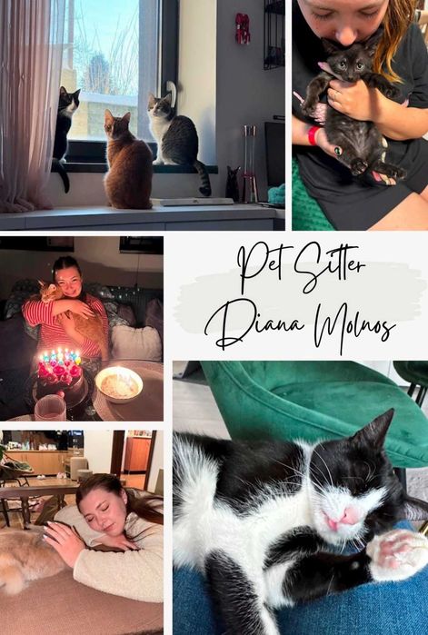 Pet sitter Diana Molnos