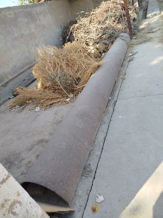 Труба охир огил сигирга