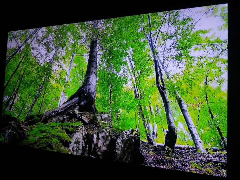 Телевизор не Китай