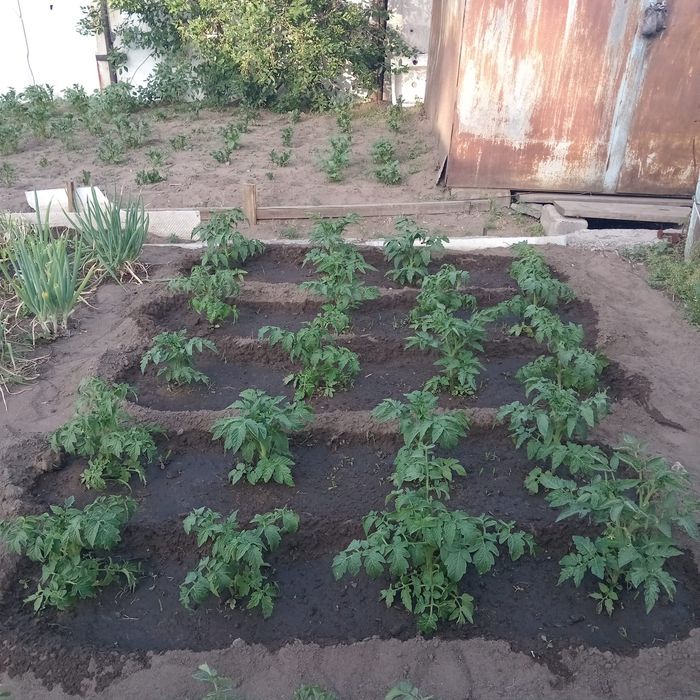 Продам дом в районе Мдс!