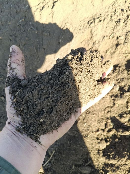 Чернозём, перегной с доставкой