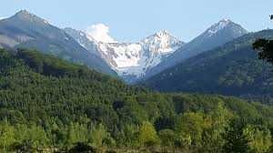 vand padure 6,5 ha in comuna Vistea  jud Brasov