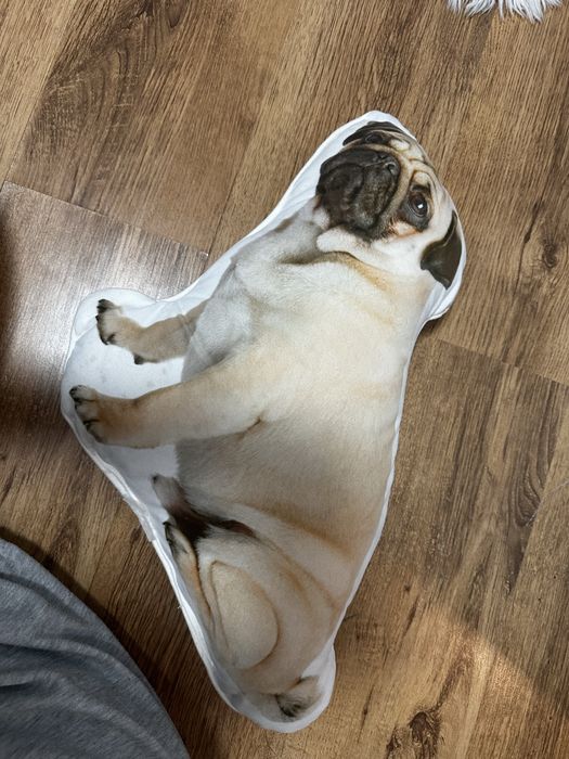 Възглавница кученце