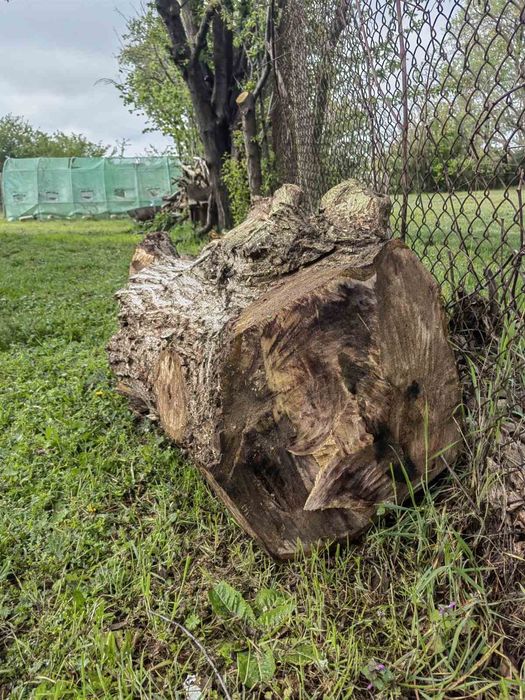 Дървен материал орех