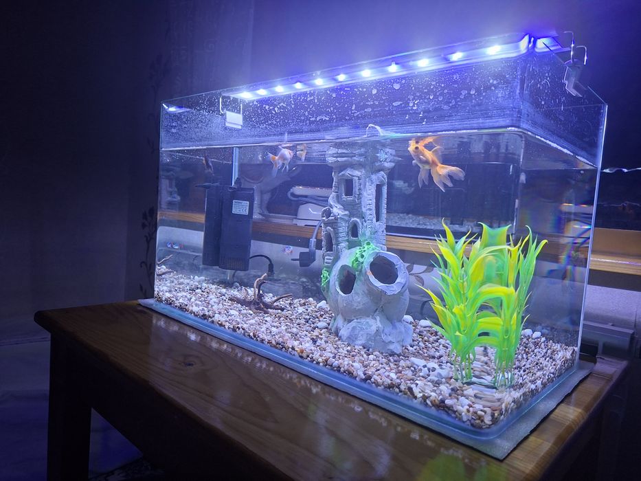 Akvarium sotiladi