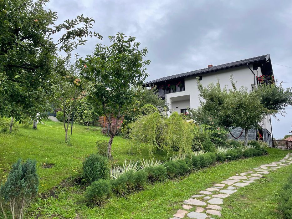 Casa, cabana de inchiriat Revelion, 3 nopti, 10-12 persoane, 20 km pârtia schi Toplița, ciubăr inclus