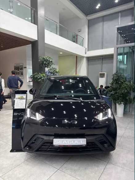 BYD Seagull от официального дилера YAKKASAROY