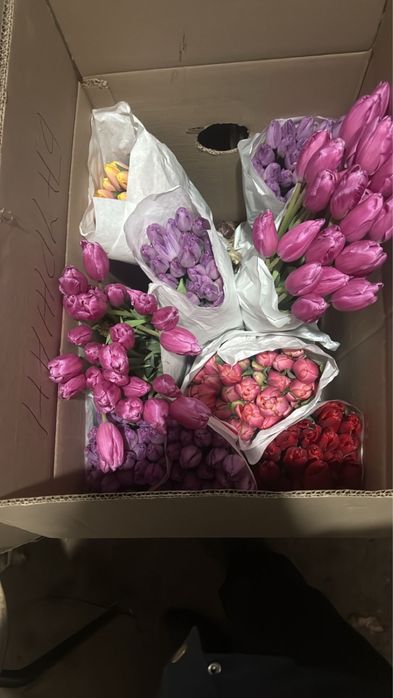 Продаю тюльпаны по 350 тенге