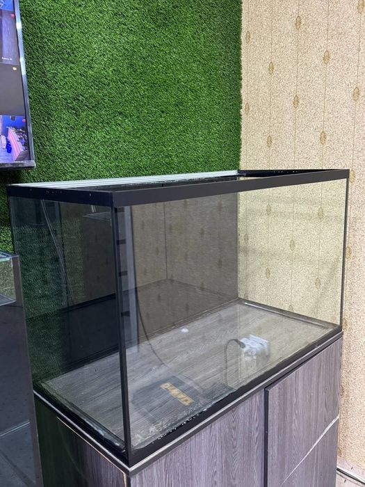 Akvarium baliqlar uchun