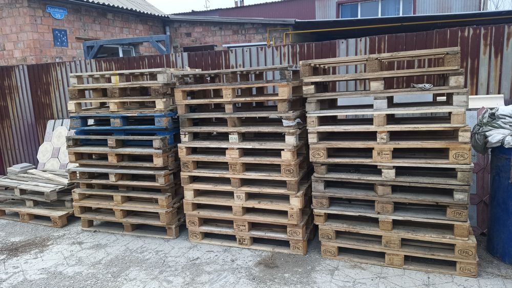 Поддоны пятьдесят штук