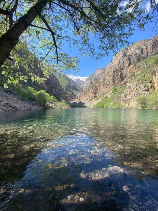 Тур в горы. Трансфер, экскурсии. Минивэн Hyundai, кроссовер