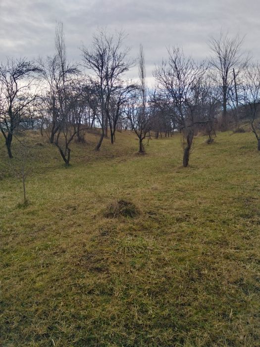 Teren de vanzare in comuna Poienari de Muscel