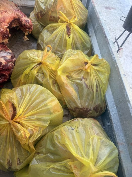 Мясо конина по 10 кг