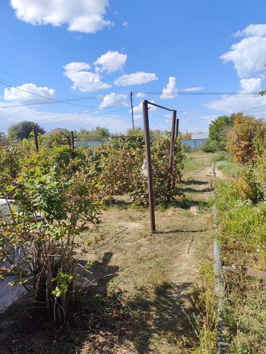 Дача 10 соток в Алмалы Авиатор