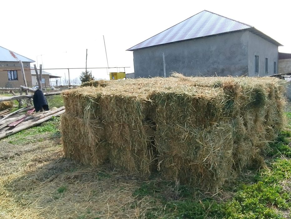 Пресс Шөп сатылады Жоңышқа мен аралас орылған